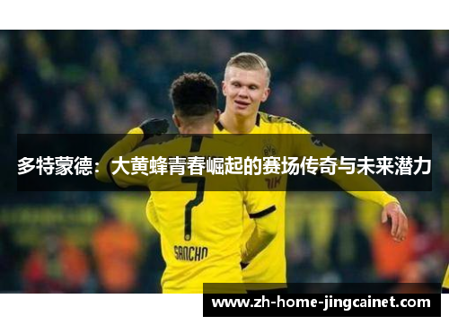 多特蒙德：大黄蜂青春崛起的赛场传奇与未来潜力