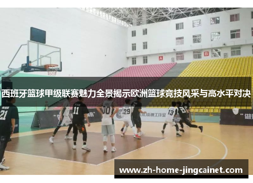 西班牙篮球甲级联赛魅力全景揭示欧洲篮球竞技风采与高水平对决